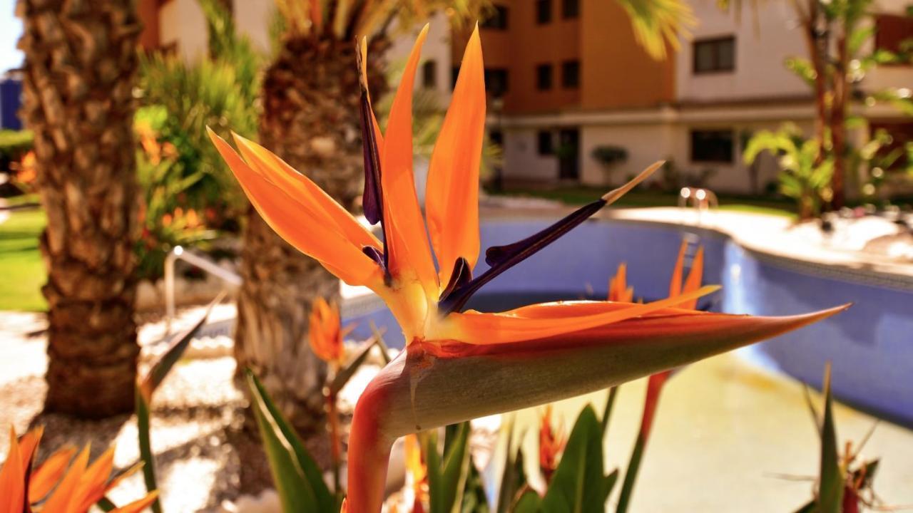 Apartamento La Entrada Punta Prima  Esterno foto